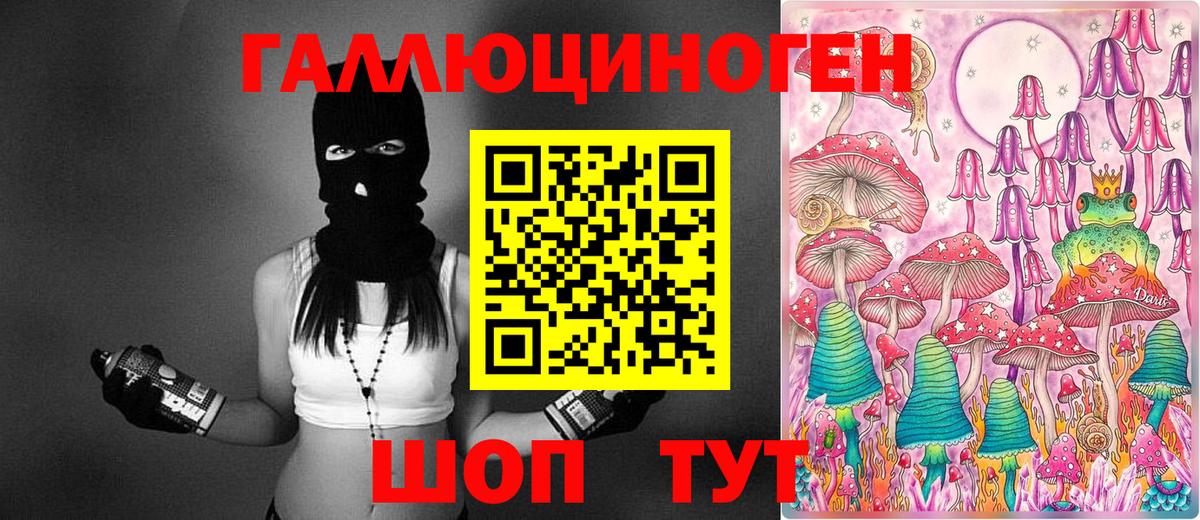 продажа наркотиков  Вход с VPN  Королёв  Псилоцибиновые грибы Psilocybine cubensis 