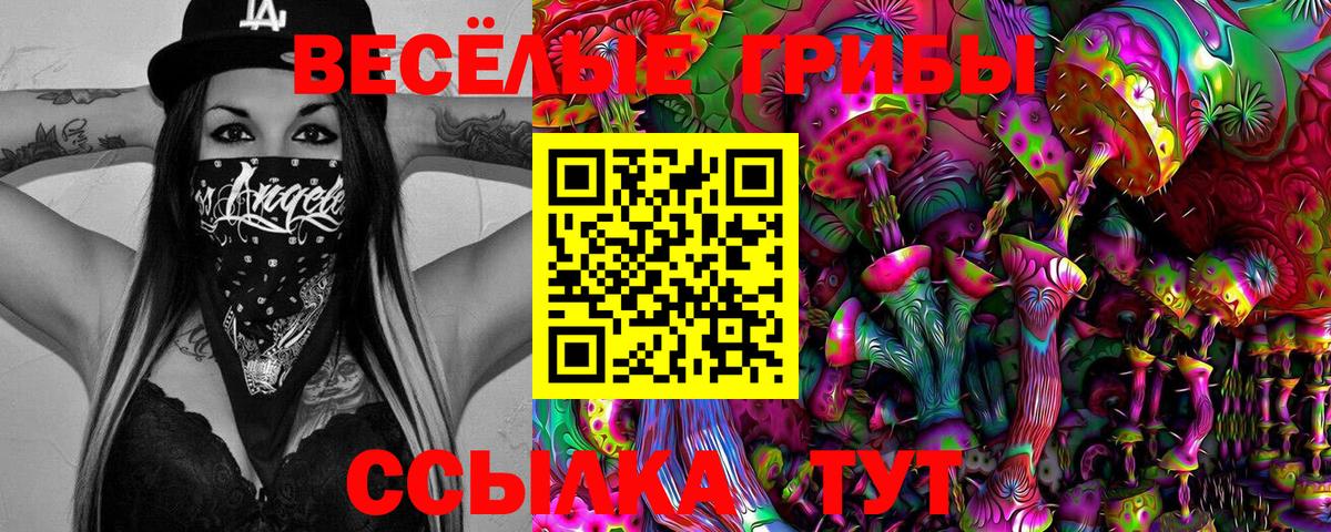 Галлюциногенные грибы Psilocybe Королёв